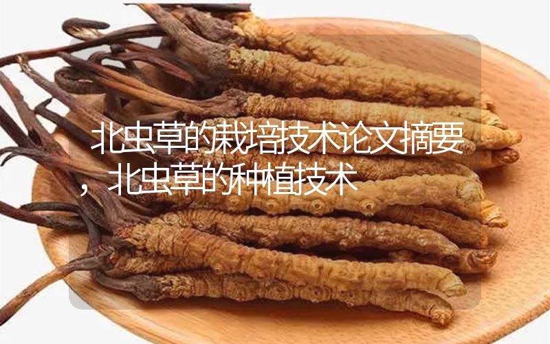 北蟲草的栽培技術(shù)論文摘要，北蟲草的種植技術(shù)