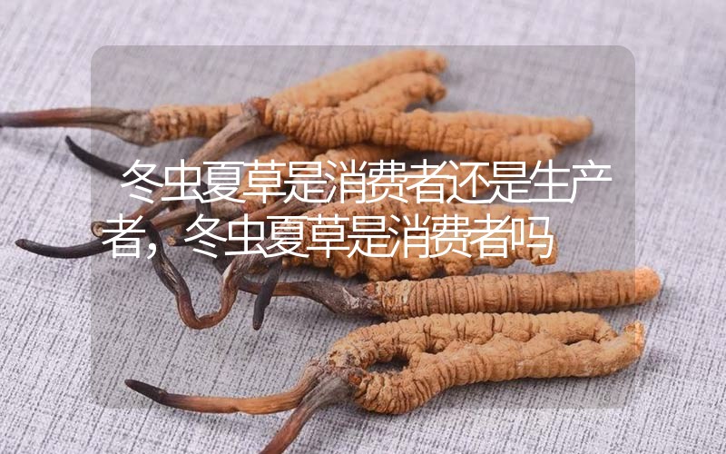 貧血吃冬蟲(chóng)夏草有效果嗎，貧血虛弱者可以用冬蟲(chóng)夏草嗎？