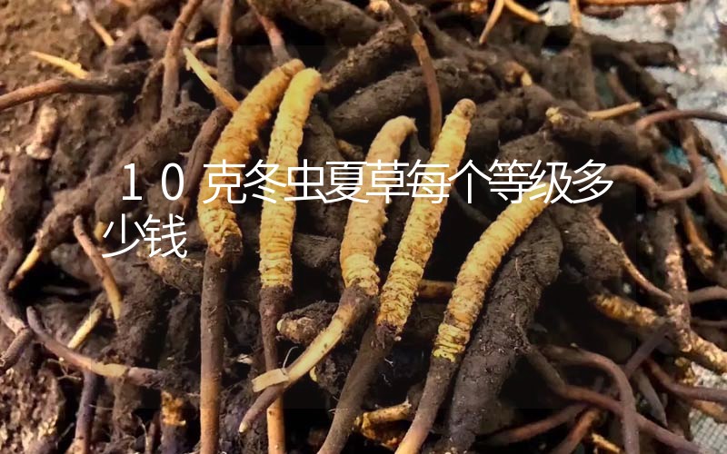 10克冬蟲夏草每個(gè)等級(jí)多少錢？