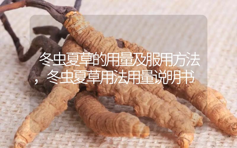冬蟲夏草的用量及服用方法，冬蟲夏草用法用量