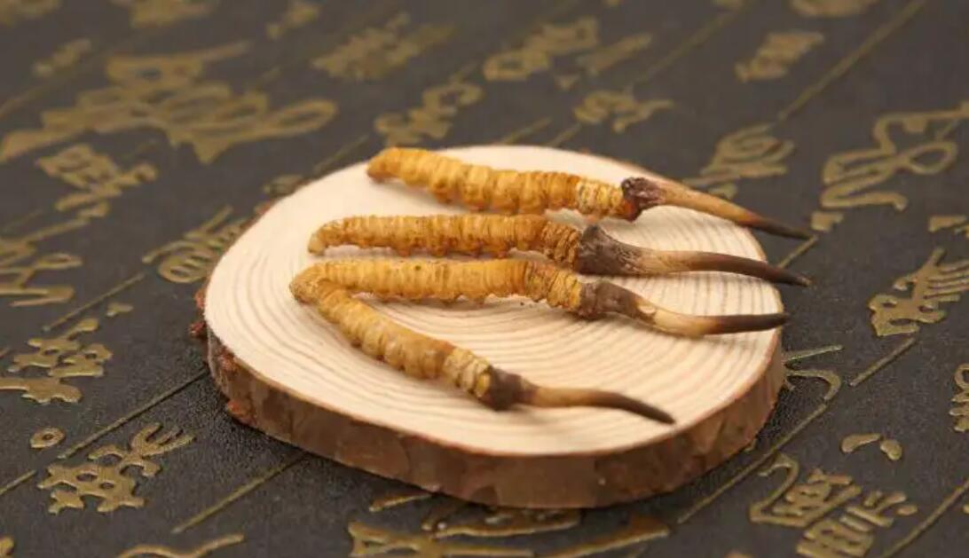 哪個(gè)產(chǎn)地的冬蟲夏草營(yíng)養(yǎng)價(jià)值高