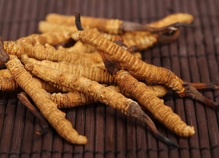 什么樣的冬蟲夏草算是優(yōu)質的？