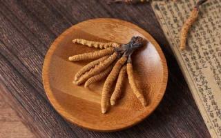掌握竅門，如何辨別優(yōu)質(zhì)冬蟲夏草，保障健康！