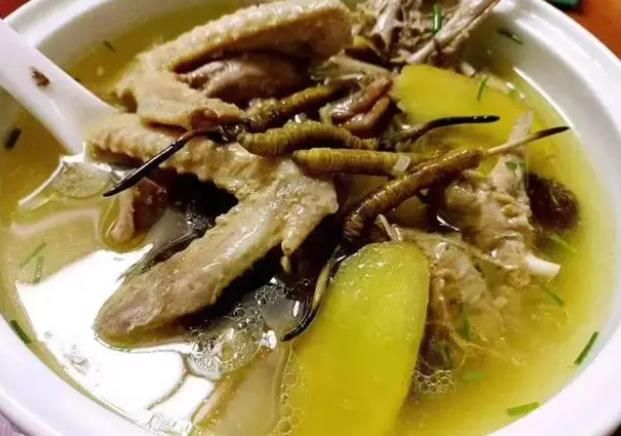 冬蟲夏草和哪些食材可以一起煲湯？