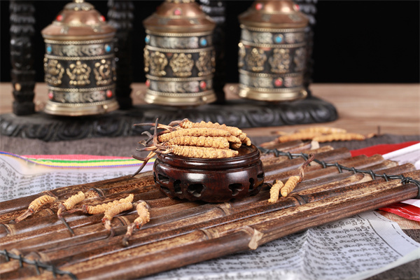 冬蟲夏草和夏威夷果搭配的吃法