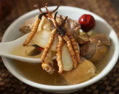 冬蟲(chóng)夏草可以燉海鯽魚(yú)嗎？