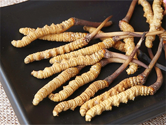 真的冬蟲夏草什么價(jià)格？影響冬蟲夏草價(jià)格波動(dòng)的3個(gè)關(guān)鍵因素