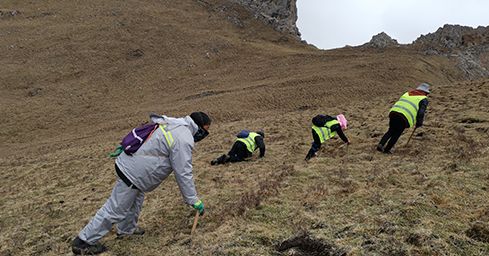 <a href=http://www.yangtenghuanbao.com/sdph/zf/ target=_blank class=infotextkey>珍峰冬蟲(chóng)夏草</a>:源自世界屋脊的養(yǎng)生瑰寶