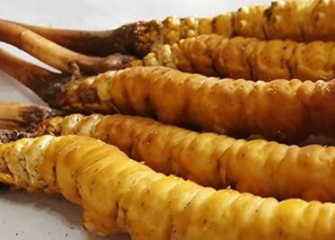 <a href=http://www.yangtenghuanbao.com/sdph/zf/ target=_blank class=infotextkey>珍峰冬蟲夏草</a>主要的銷售模式