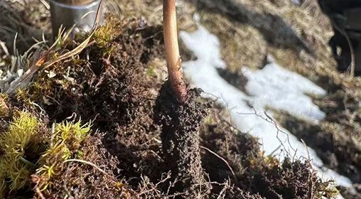 <a href=http://www.yangtenghuanbao.com/xinxian/ target=_blank class=infotextkey>新<a href=http://www.yangtenghuanbao.com/xinxian/ target=_blank class=infotextkey>鮮冬蟲夏草</a></a>存放