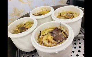 冬蟲夏草燉什么最好？5種黃金搭配讓滋補效果翻倍