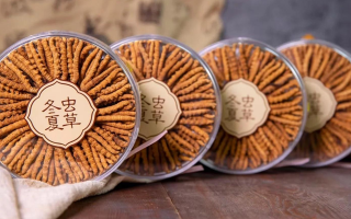 冬蟲夏草一盒多少錢？全方位剖析價(jià)格構(gòu)成