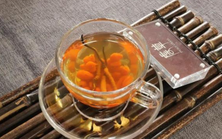 冬蟲夏草泡水時間全解析：泡多久才最有效？