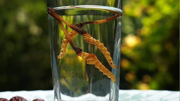 <a href=http://www.yangtenghuanbao.com/xinxian/ target=_blank class=infotextkey>鮮冬蟲夏草</a>怎么泡好吃？這些配方讓滋補更有滋味