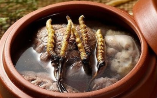 鮮冬蟲夏草吃多會(huì)上火嗎？一文解析真相