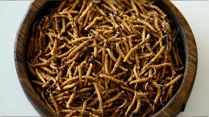 <a href=http://www.yangtenghuanbao.com/jiage/ target=_blank class=infotextkey>冬蟲夏草價(jià)格</a>探秘：多因素交織下的市場(chǎng)行情