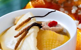 冬蟲夏草每天什么時(shí)候吃最好？一文詳解最佳食用時(shí)間