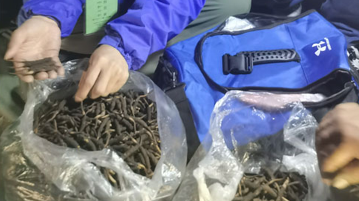 <a href=http://www.yangtenghuanbao.com/xinxian/ target=_blank class=infotextkey>新<a href=http://www.yangtenghuanbao.com/xinxian/ target=_blank class=infotextkey>鮮冬蟲夏草</a></a>的正確食用指南