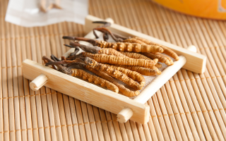 冬蟲夏草一般多少錢一斤？價格背后的價值解析