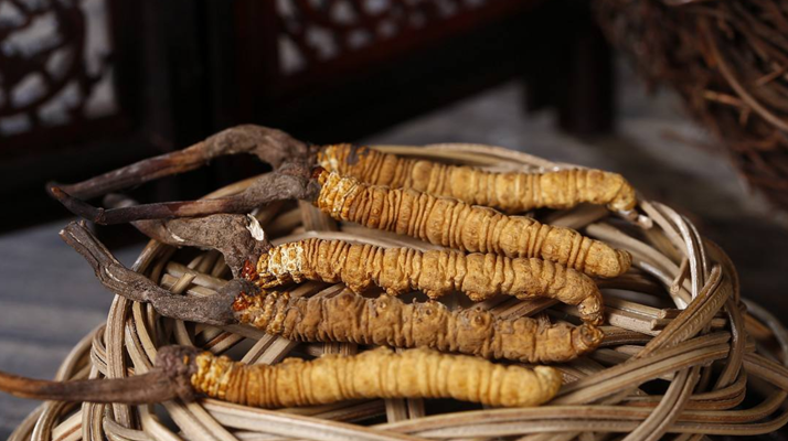冬蟲(chóng)夏草價(jià)格：波動(dòng)中的 “軟黃金” 價(jià)值剖析