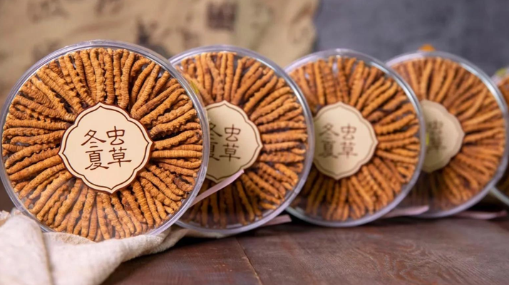 同仁堂<a href=http://www.yangtenghuanbao.com/chanpin/ target=_blank class=infotextkey>冬蟲夏草禮盒</a>：珍稀饋贈(zèng)，品質(zhì)之選