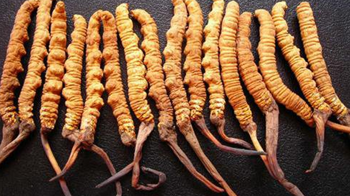 冷<a href=http://www.yangtenghuanbao.com/xinxian/ target=_blank class=infotextkey>鮮冬蟲夏草</a>怎么吃最好