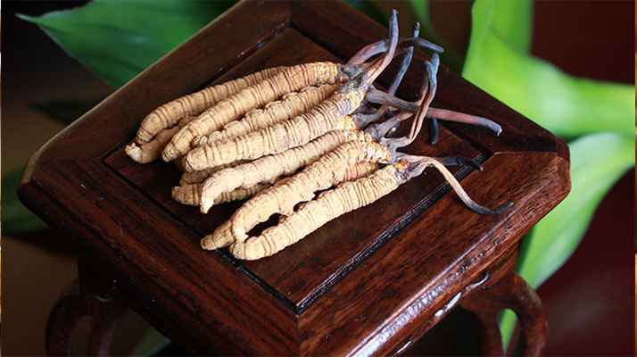 怎樣鑒別<a href=http://www.yangtenghuanbao.com/tag/6.html target=_blank class=infotextkey>冬蟲夏草的產(chǎn)地</a>