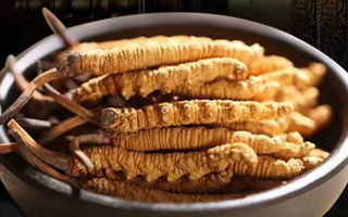 生吃冬蟲(chóng)夏草什么味道