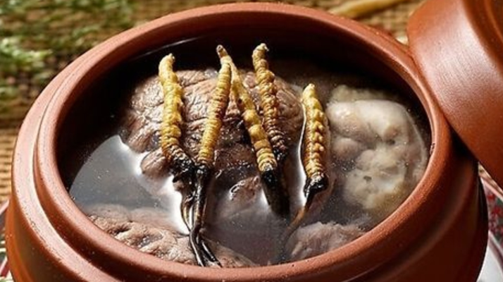 冬蟲夏草燉雞能放多久