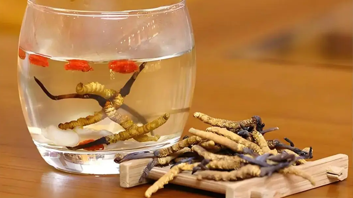冬蟲夏草與枸杞能一起泡酒嗎？科學(xué)搭配與飲用指南