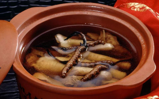 糖尿病可服用冬蟲夏草嗎？科學(xué)解析其調(diào)理價值與注意事項