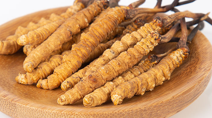 冬蟲夏草，真有那么大效果？