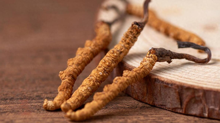 純野生<a href=http://www.yangtenghuanbao.com/jiage/ target=_blank class=infotextkey>冬蟲夏草價(jià)格</a>剖析:多因素交織下的價(jià)值體現(xiàn)