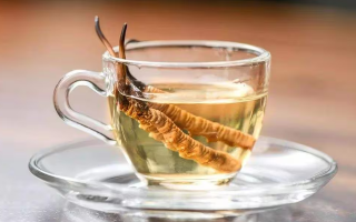 一斤白酒泡多少冬蟲夏草合適？科學配比與泡制指南