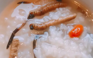 冬蟲夏草適合哪些人群？精準(zhǔn)匹配與禁忌提醒