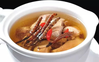 冬蟲夏草怎樣燉是最好的？掌握這幾步，營養(yǎng)不流失還美味
