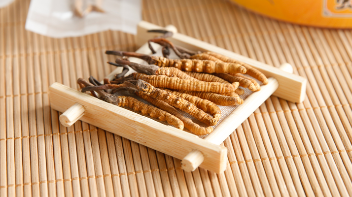 冬蟲夏草怎么燉比較好