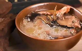 冬蟲夏草治什么病效果好？厘清輔助調(diào)理邊界與適用場(chǎng)景