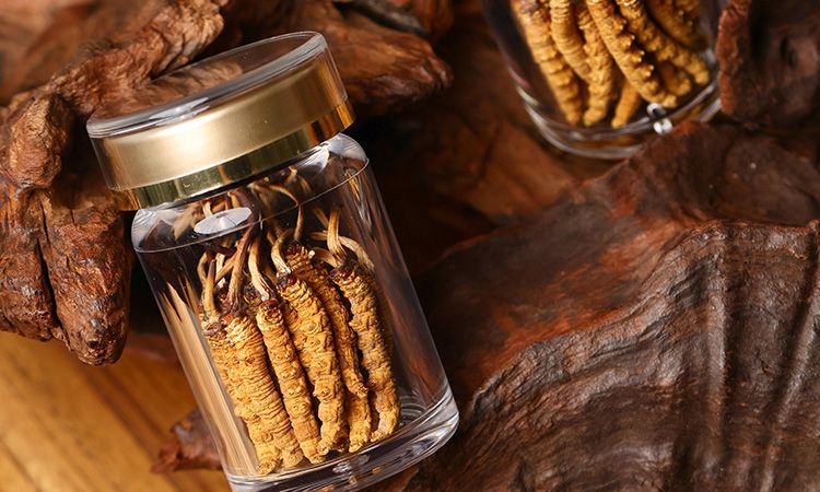 鮮冬蟲(chóng)夏草泡水后怎么保存