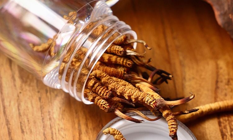 <a href=http://www.yangtenghuanbao.com/jiage/ target=_blank class=infotextkey>冬蟲夏草多少錢</a>一條 