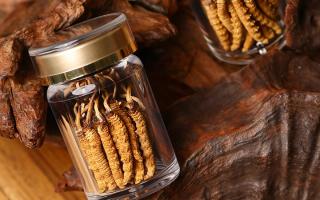 鮮冬蟲夏草泡水后怎么保存？3 種場景保存方法 + 避坑指南