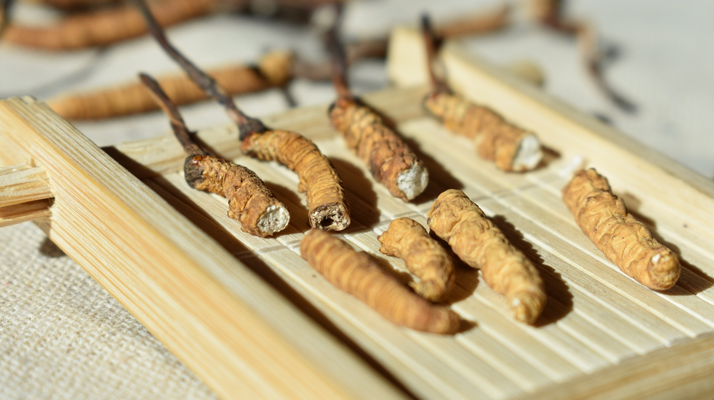 斷的<a href=http://www.yangtenghuanbao.com/ target=_blank class=infotextkey>冬蟲夏草</a>一克啥價(jià)