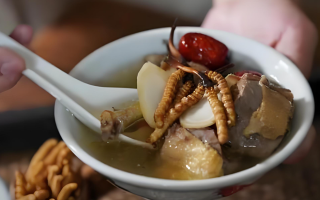 冬蟲(chóng)夏草和什么一起燉可以治咳嗽？