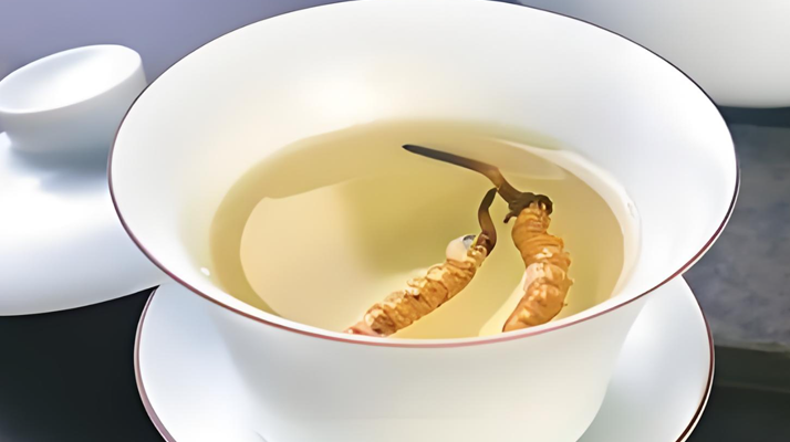 鮮冬蟲(chóng)夏草可以煮水喝嗎？有什么功效和作用？