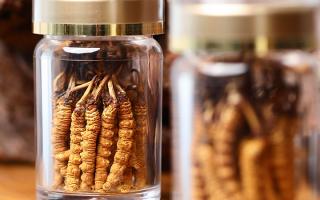 正宗冬蟲夏草哪家便宜？——教你選對(duì)低價(jià)正品渠道