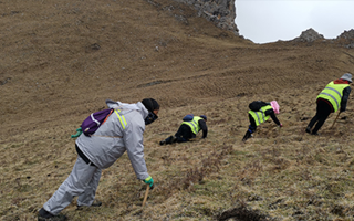 深耕那曲雪域，甄選正宗好草——2026那曲冬蟲夏草優(yōu)質品牌盤點