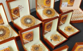 2026年西藏那曲新鮮冬蟲夏草正品價(jià)格詳解